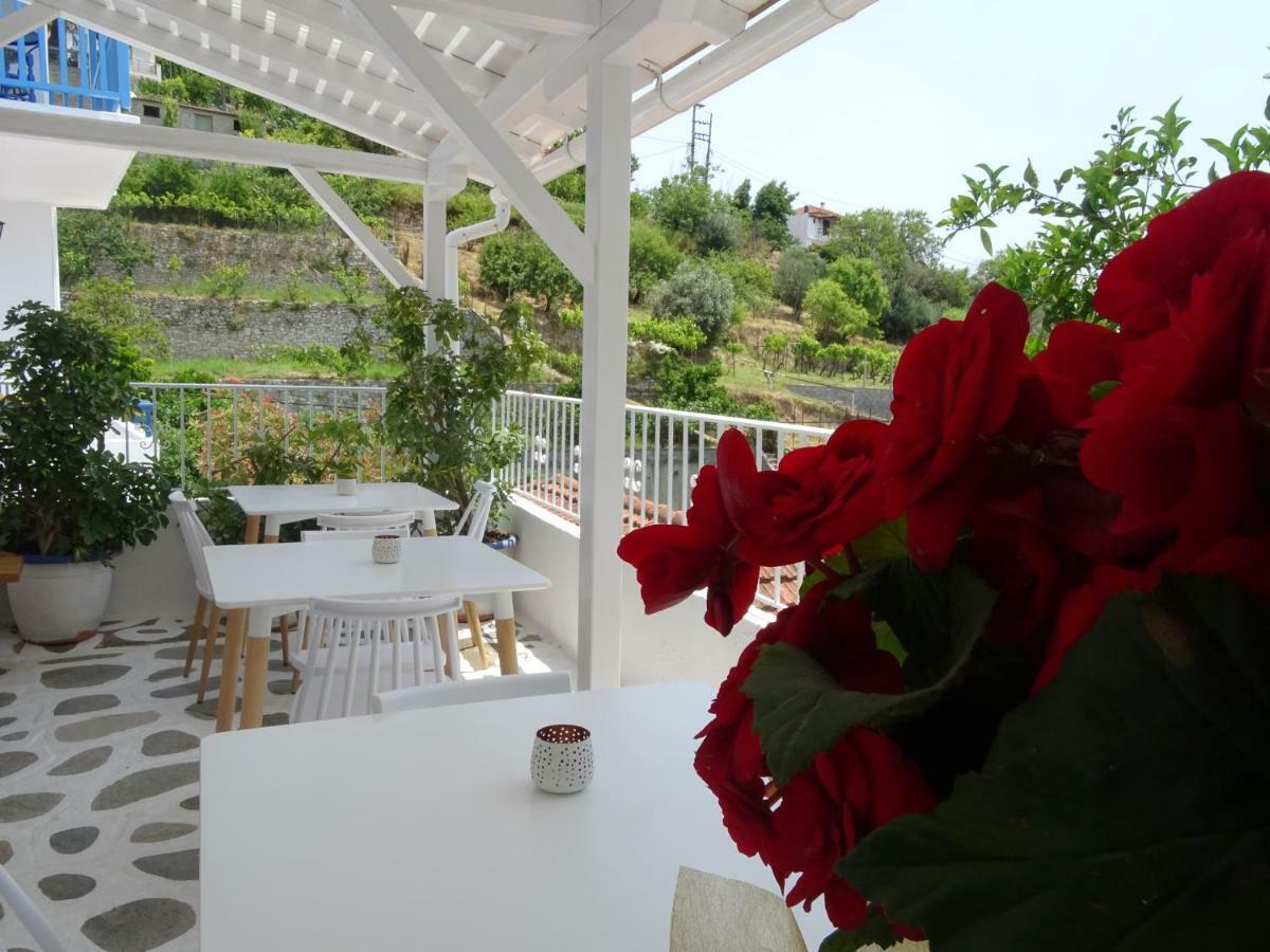 Galini Hellenic Hospitality Aparthotel Patitiri  Exterior photo